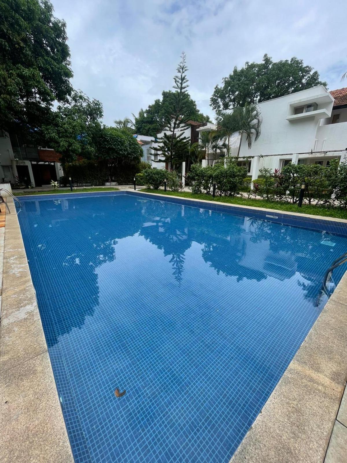 Villa M - Solitude 2 Candolim Goa 3Bhk, Pool Facing, Near Beach, Free Breakfast, Free Wifi And Prime Location Ngoại thất bức ảnh